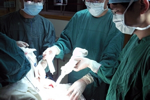 做过宫颈息肉手术后怀孕有影响吗 做过宫颈息肉手术后怀孕有影响吗