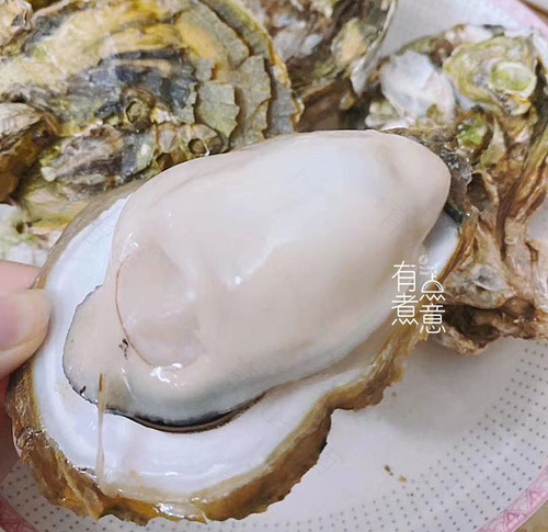 有伤口能不能吃生蚝? 有伤口能不能吃生蚝?