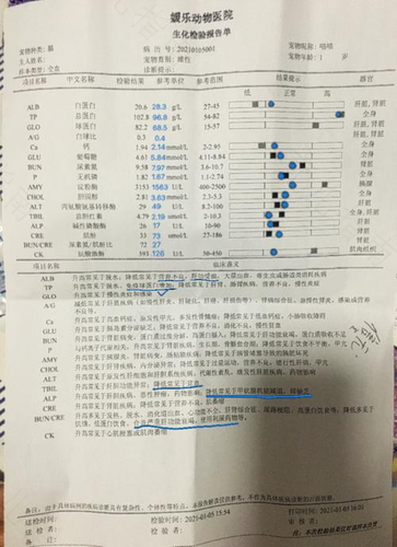 贫血会造成白细胞低吗? 贫血会造成白细胞低吗?