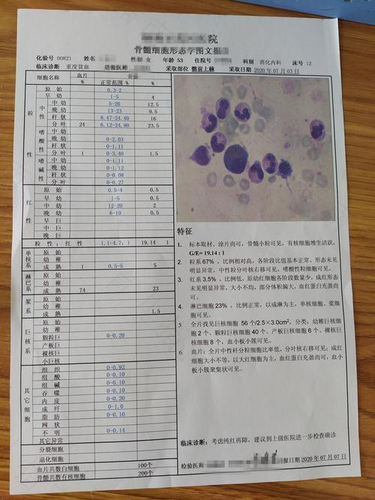 血液疾病怎么检查