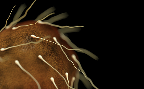 男性弱精症怎么办 男性弱精症怎么办