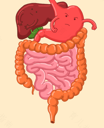 肠子堆积大便怎么办