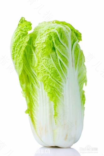 拉肚子能不能吃白菜豆腐 拉肚子能不能吃白菜豆腐