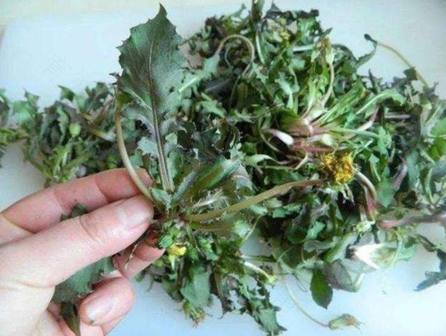 宝宝脸上湿疹能用蒲公英熬水洗吗