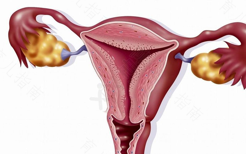 子宫腺肌症没有症状可以不治疗吗 子宫腺肌症没有症状可以不治疗吗