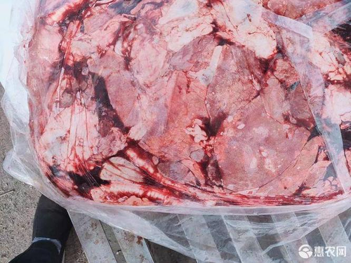 肺气肿和肺结节不能吃羊肉吗 肺气肿和肺结节不能吃羊肉吗