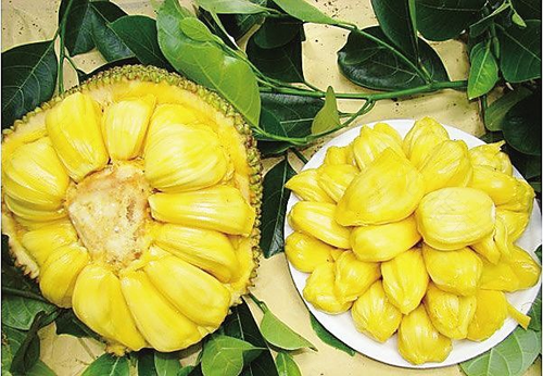 小孩发烧能不能吃菠萝蜜 小孩发烧能不能吃菠萝蜜