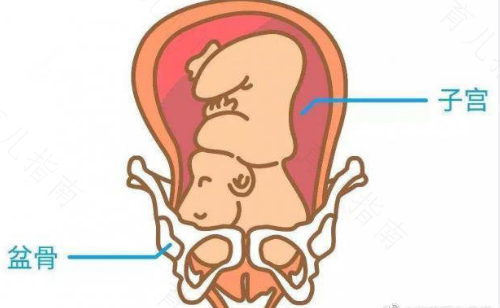 子宫后壁触痛是什么原因 子宫后壁触痛是什么原因