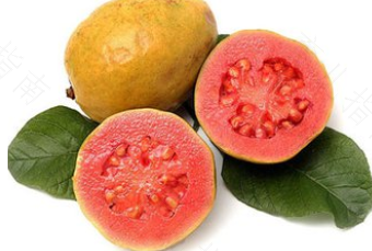 番石榴不能和什么一起吃 番石榴不能和什么一起吃