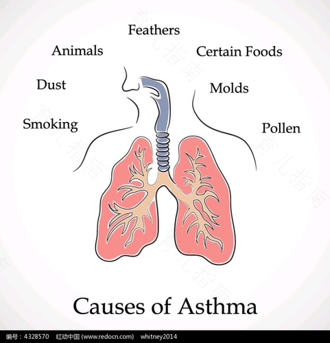 小孩子支气管炎一直咳嗽怎么办 小孩子支气管炎一直咳嗽怎么办