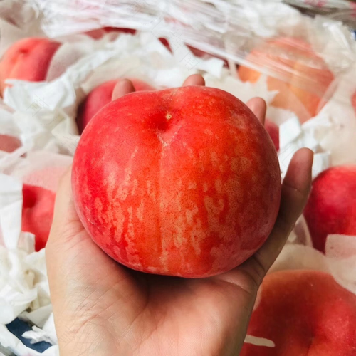 感冒能吃水蜜桃吗