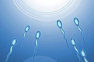 前列腺炎会导致死精症吗 前列腺炎会导致死精症吗