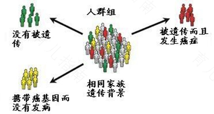 有哪些病会遗传给后代 有哪些病会遗传给后代