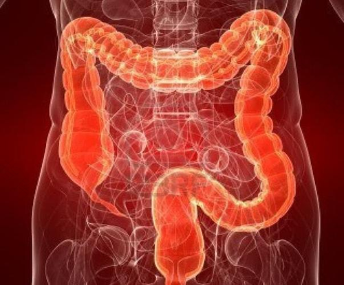 传染性胃肠炎的症状及治疗 传染性胃肠炎的症状及治疗