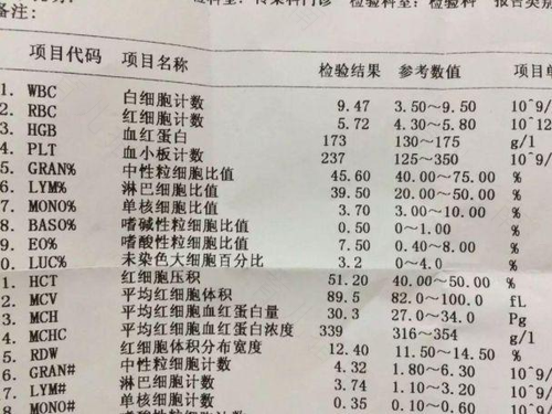 查血常规能不能吃饭喝水