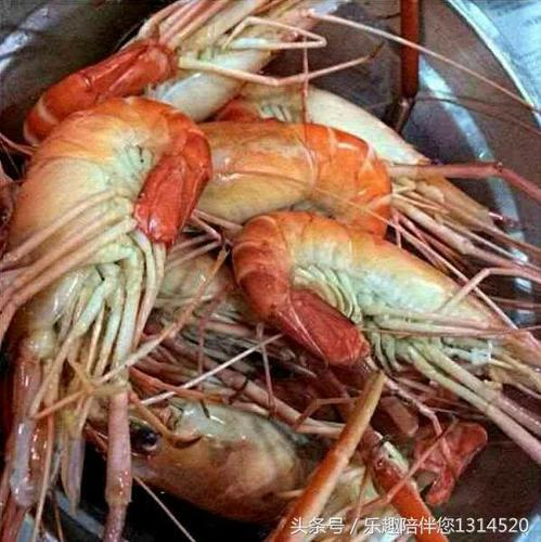 肺部感染能不能吃虾 肺部感染能不能吃虾