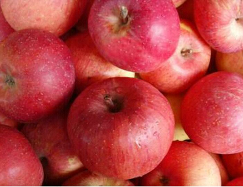 受伤不能吃什么水果