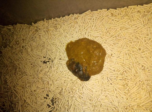 小孩拉的水便是怎么回事 小孩拉的水便是怎么回事