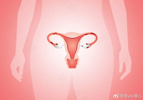 子宫内膜血流不好怎么调理 子宫内膜血流不好怎么调理