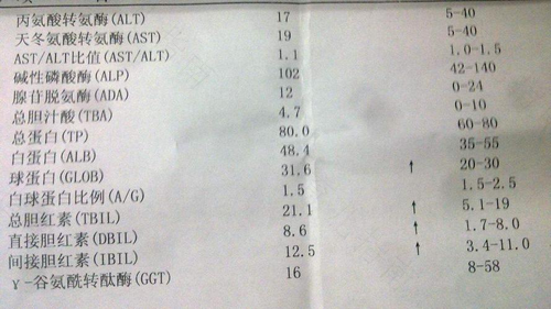 乙肝小三阳可以考公务员吗?