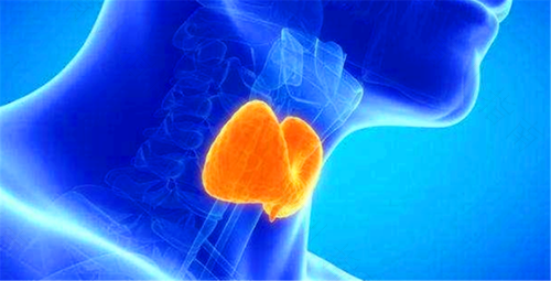 甲状腺结节能不能吃碘盐 甲状腺结节能不能吃碘盐