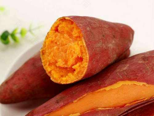 肠胃炎能不能吃红薯干 肠胃炎能不能吃红薯干