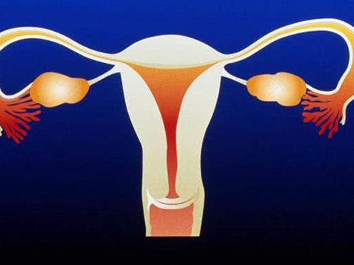 子宫畸形怎么治疗请北京凤凰 子宫畸形怎么治疗请北京凤凰