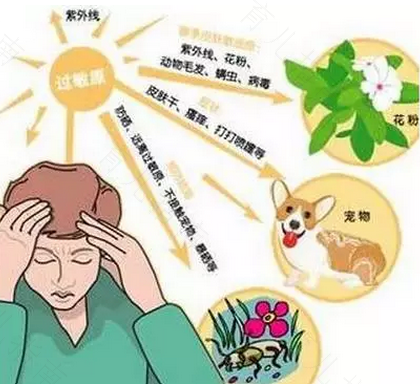 高过敏体质怎么办