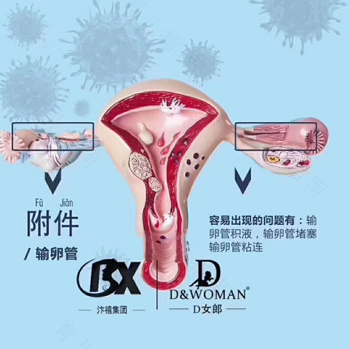 宫颈口发炎是怎么导致的 宫颈口发炎是怎么导致的