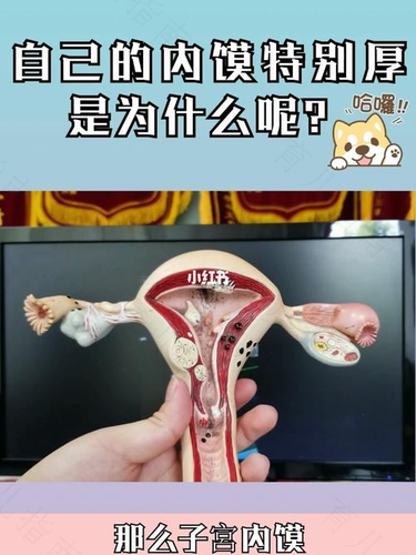 什么原因导致子宫壁厚