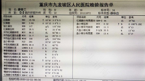 贫血会导致白细胞高吗