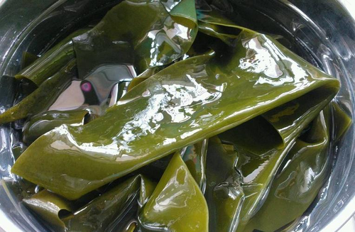 尿酸高吃海带好不好响吗 尿酸高吃海带好不好响吗