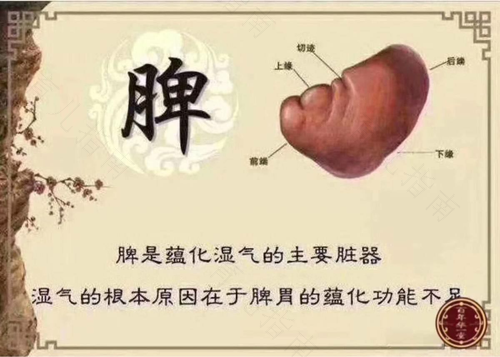 脾胃虚弱引起的便秘怎么办 脾胃虚弱引起的便秘怎么办