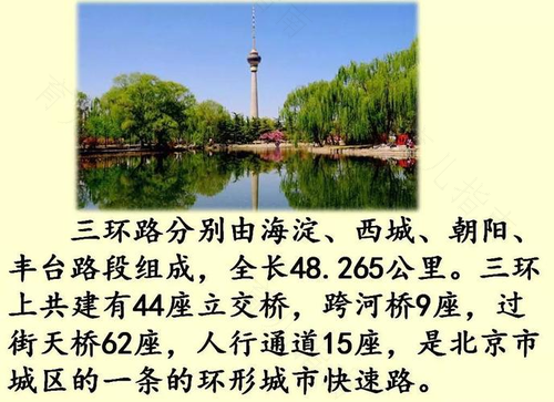 爱的环路从两个月大开始建立