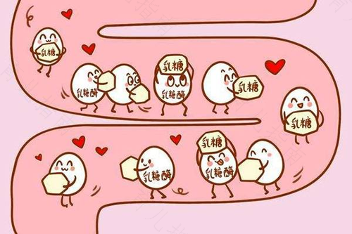 纯乳酸酶高是什么引起 纯乳酸酶高是什么引起