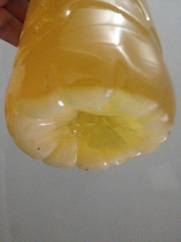 早上起来尿黄是怎么回事 早上起来尿黄是怎么回事