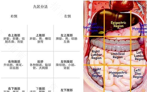 左下腹疼痛是什么原因? 左下腹疼痛是什么原因?