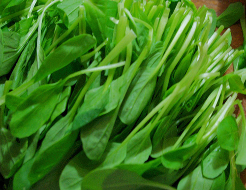 拉肚子能吃小白菜吗 拉肚子能吃小白菜吗