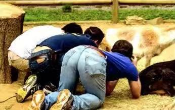 为什么尿很烫? 为什么尿很烫?