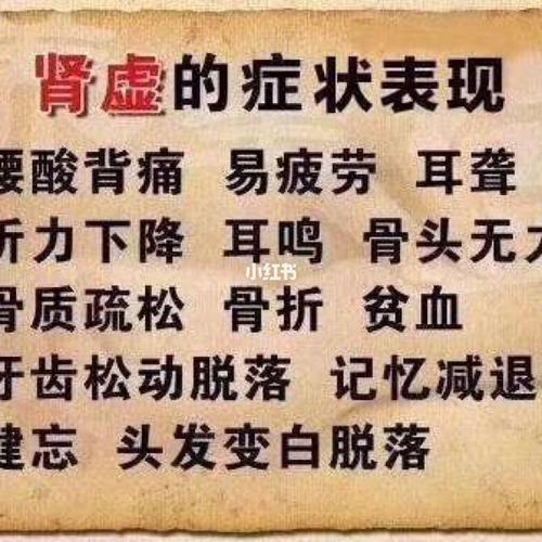 怎么判断是肾阳虚还是肾阴虚 怎么判断是肾阳虚还是肾阴虚