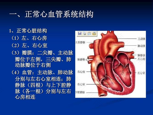 心脏瓣膜病的症状 心脏瓣膜病的症状