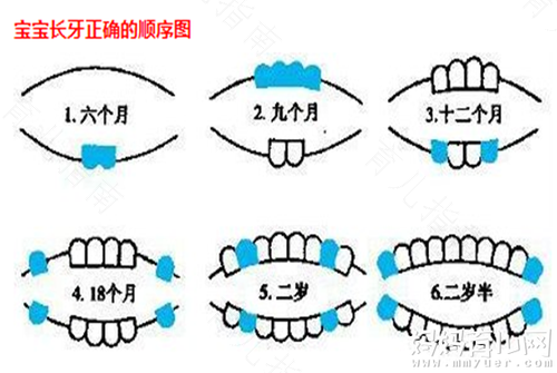 6岁儿童长大牙发烧怎么办