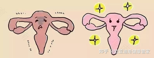 子宫有坠痛感是什么原因 子宫有坠痛感是什么原因