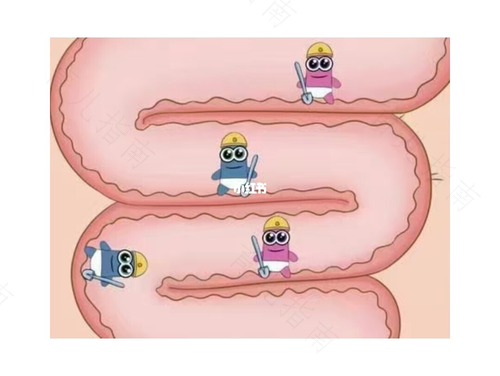 细菌性肠道感染的症状