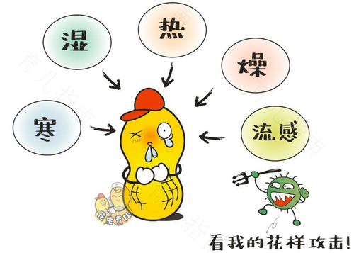 风寒感冒是病毒感冒吗? 风寒感冒是病毒感冒吗?