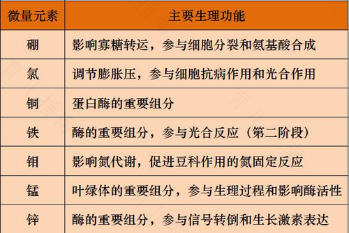 缺各种微量元素产生的症状高中