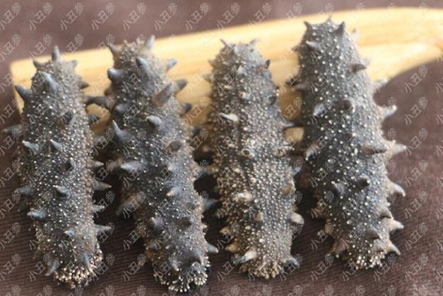 尿酸高能吃海参吗? 尿酸高能吃海参吗?