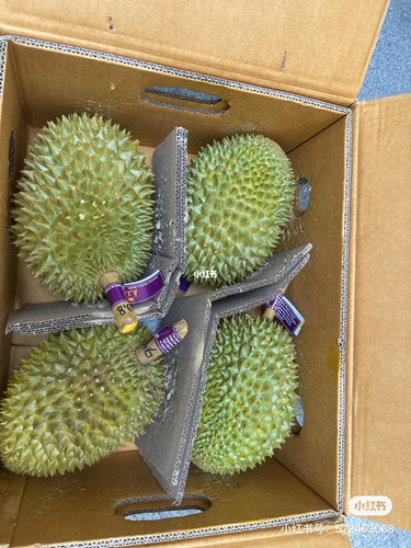 子宫肌瘤能吃榴莲吗?