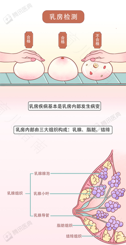 孕期乳头旁边有小疙瘩是怎么回事