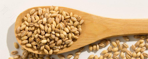 糖尿病能不能吃全麦面